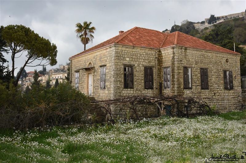 اخر ايام الشتوية ...._______________  livelovechouf .........