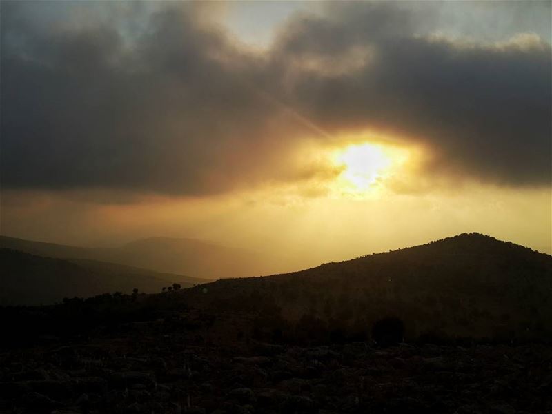 اذا اردت ان تحرك جبالا في الغد،  عليك ان تبدأ بحمل الحجارة من اليوم 👌📷🍃...