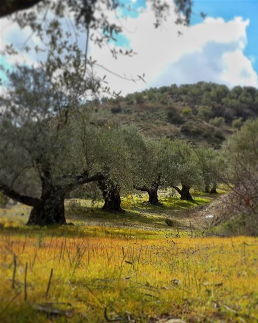 اذا عثرت على طريق خالي من المعوقات،،فهو غالباً لا يؤدي الى اي مكان👌📷 🍃...