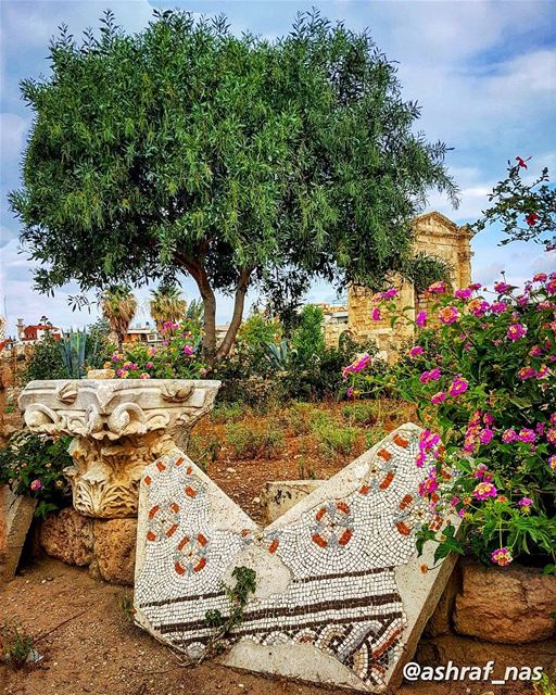 اسوارة العروس مشغولة بالدهبوانت مشغول بقلوب يا تراب الجنوب...رسايل الغياب (Roman ruins in Tyre)