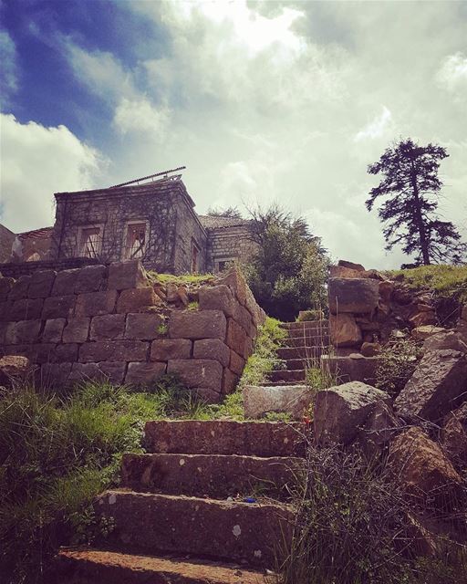 الأحبة هاجروا، أخذوا المكان و هاجروا، أخذوا الزمان وهاجروا، أخذوا روائحهم ع