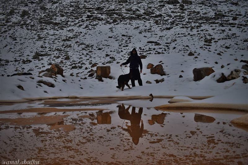 الأقوياء من البشر تحفزهم أهداف متحركة.. 👌  lebanon  photography ... (جبل الشيخ)