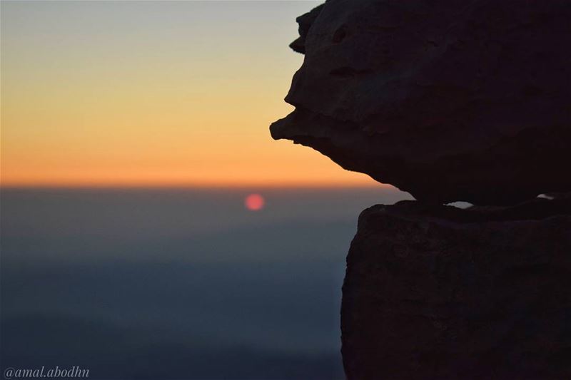 الإرادة التي لا تتغلب على العاطفة مصيرها الفشل 👌  lebanon  photography ... (Mount Lebanon Governorate)