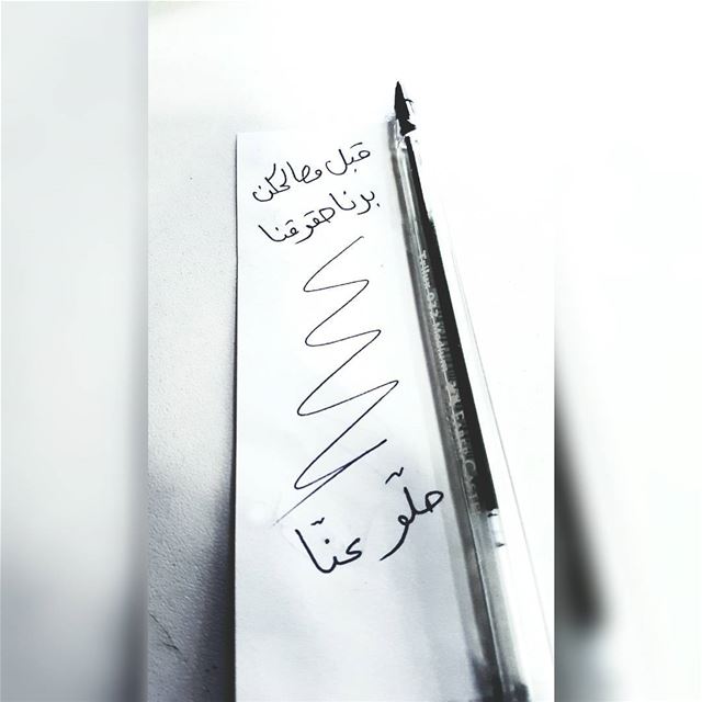  الإنتخابات_البلدية  العملية_الإنتخابية  بيروت  لبنان  ٨_أيار  beirut ... (Beirut, Lebanon)