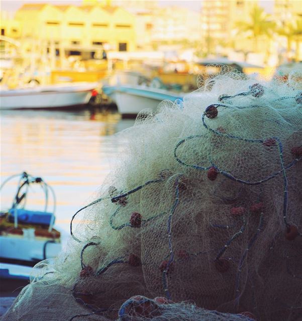 البساطة المعقدة..  lebanon  lebanon_hdr  ig_lebanon  insta_lebanon ... (Tyre, Lebanon)