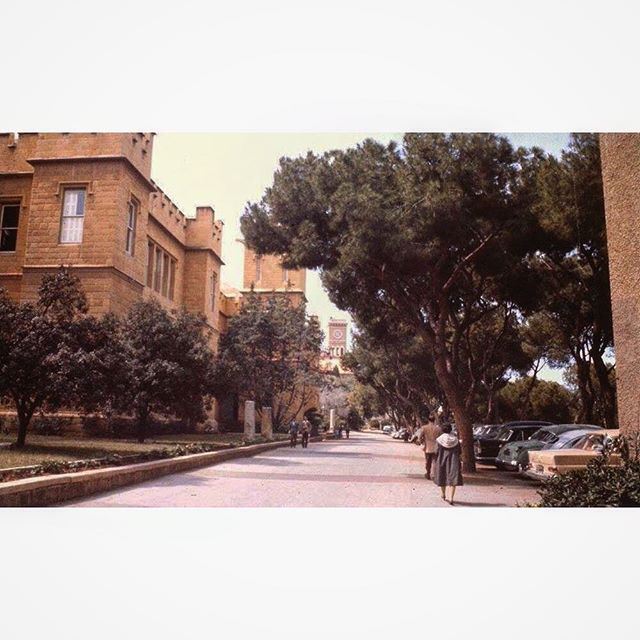 الجامعة الامريكية ، بيروت عام ١٩٧١ ،
