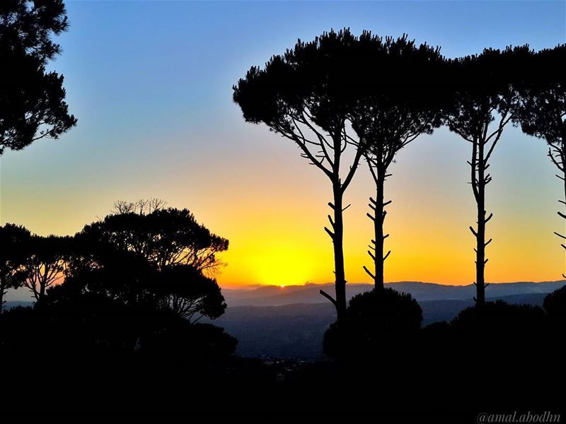 الحرمان من بعض الامور التي نحلم بها،، جزء لا يتجزأ من السعادة 👌📷🍃🌳☀ ... (Hasbaya)