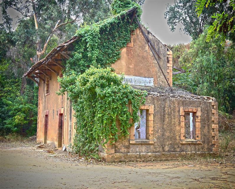 الحياة مستمرة ... وقطاراتها لا تتوقف العابرون لا يتكررون ... والراحلون لا ي (Araya, Mont-Liban, Lebanon)