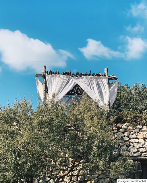 الخريف والسما زرقا............. lebanon  livelovebeirut ... (Arnaoon Village)