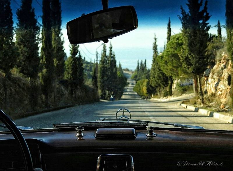 الخوف من أي محاولة جديدة طريق حتمي للفشل. ___ 961lens  naturephotography... (طرابلس)