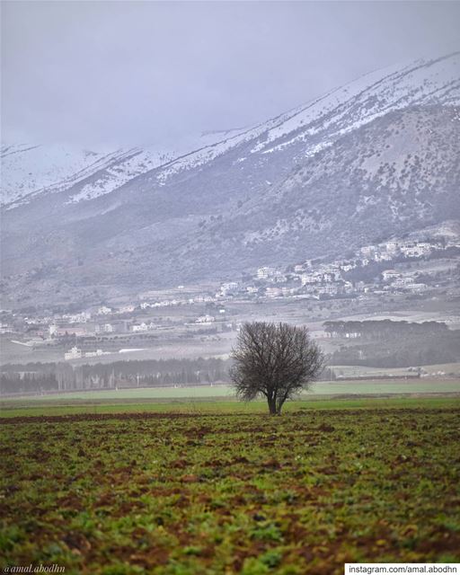 • السبيل الوحيد لمقاومة القدر هو الا تخافه •... lebanon  photography ...