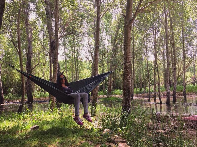 الشمس مشرقة والعصافير تزقزق🌳.... hammocktime  hammock  mothernature ... (Abdelli, Liban-Nord, Lebanon)