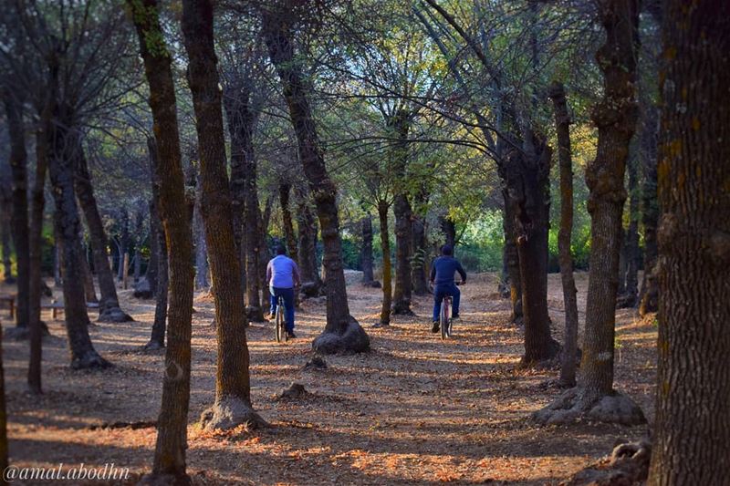 الصداقة ليست شيئاً كبيراً , انما ملايين الأشياء الصغيرة... 👌 ........ (Deïr Taanâyel, Béqaa, Lebanon)