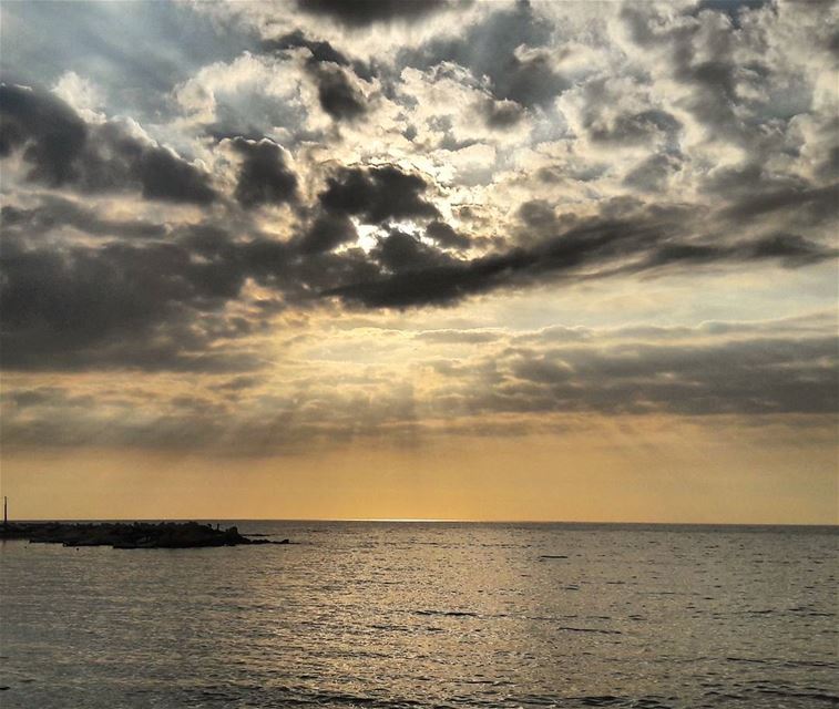 الصمت في حرم الجمال، جمال  لبنان  طرابلس  Tripoli  TripoliLB  Love  ... (Tripoli, Lebanon)
