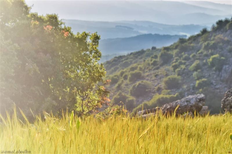 العبيد فقط يطلبون الحرية،، الأحرار يصنعونها 👌👌 .... lebanon ... (Hasbaya District)