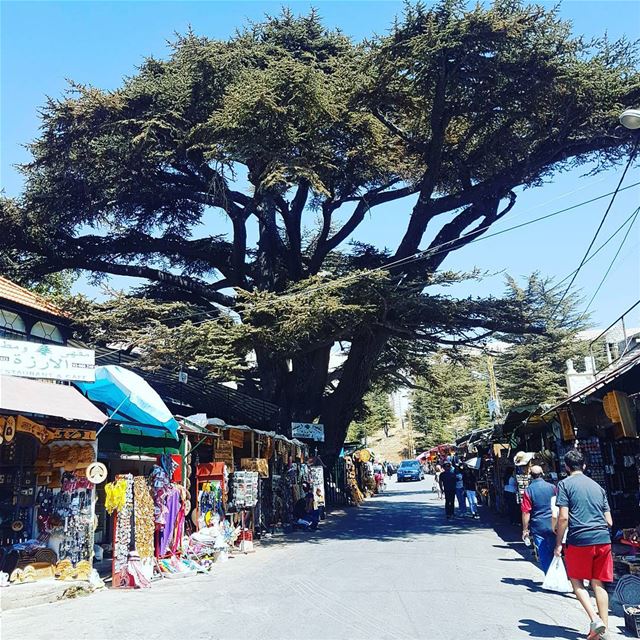 العمر لحظات...لكن بعض اللحظات عمر ig_lebanon  ig_respect  ptk_lebanon ... (Cedars of God)