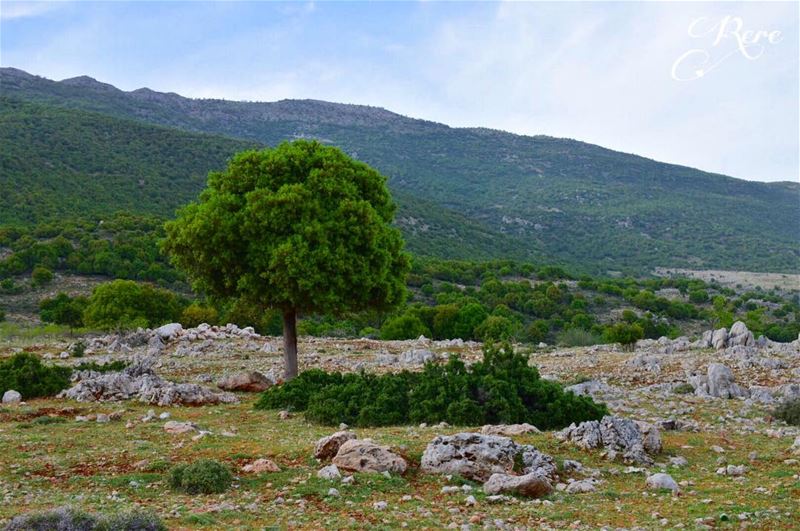 ‏المجرم والبريء الحاقد يفكران بالطريقة نفسها، الفرق بينهما هي لحظة النسيان،