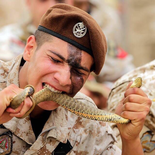 المجوقل في الجيش اللبناني. لا رحمة، زلزلو الارض حيث انتم. 🇱🇧✌️ lebanonlebanese_armyلبنانالمجوقلالجيشarmymilitary