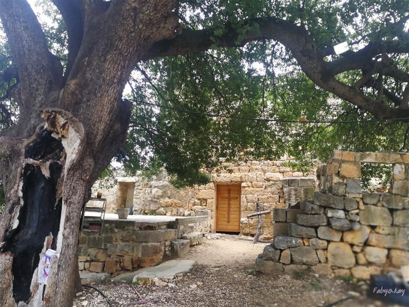 المسيح قام حقاً قام...ونحن شهود..... _____________________________________... (Hardîne, Liban-Nord, Lebanon)