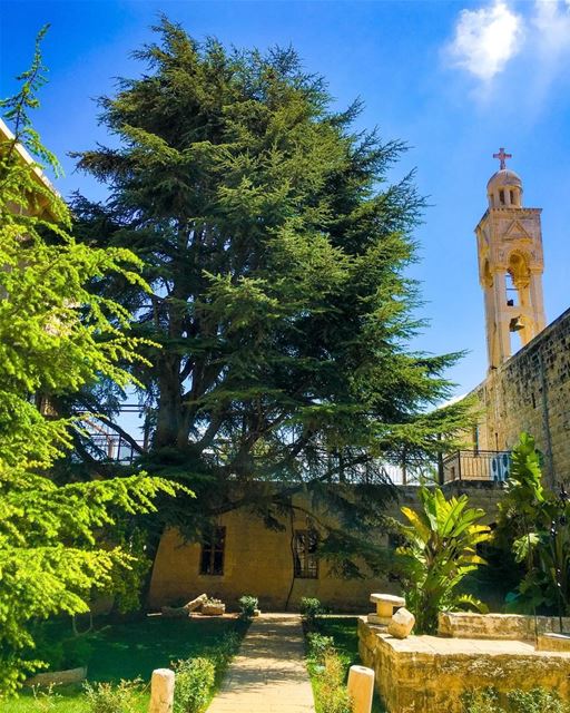 " المسيح قام...حقاً قام...ونحن شهود على ذلك..." whatsuplebanon... (Kfifan, Liban-Nord, Lebanon)