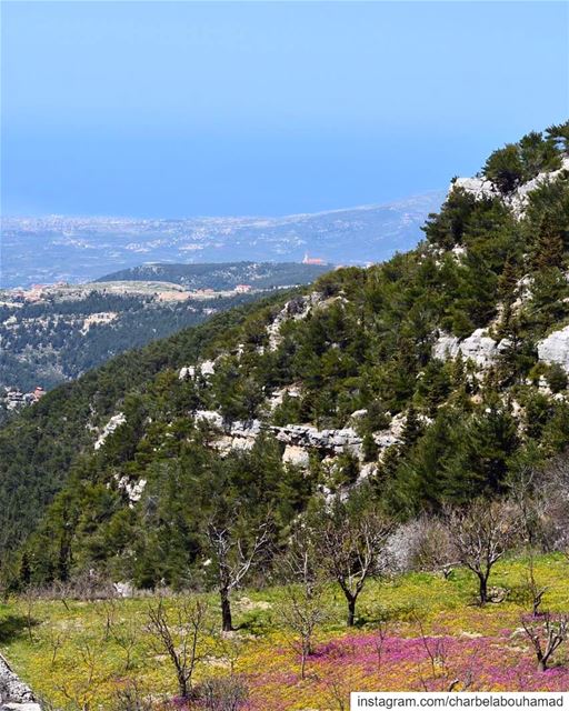 الوان الحياة lebanon  livelovelebanon  livelovebeirut  beiruting... (Ehden, Lebanon)