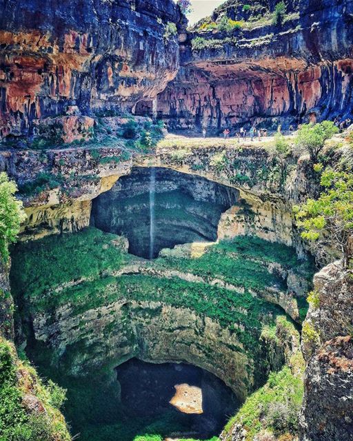 " الوطن بحاجة لمخلص و ليس لمخ لص" justsaying 🇱🇧............ (Tannurin At Tahta, Liban-Nord, Lebanon)