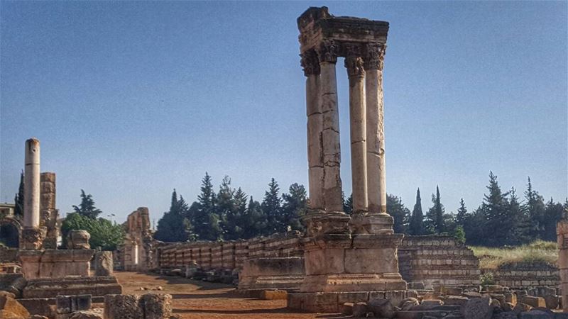 انما الامير هو ذلك الذي يجد عرشه في قلوب الدراويش -جبران خليل جبران ▪▪▪▪▪▪▪ (`Anjar, Béqaa, Lebanon)