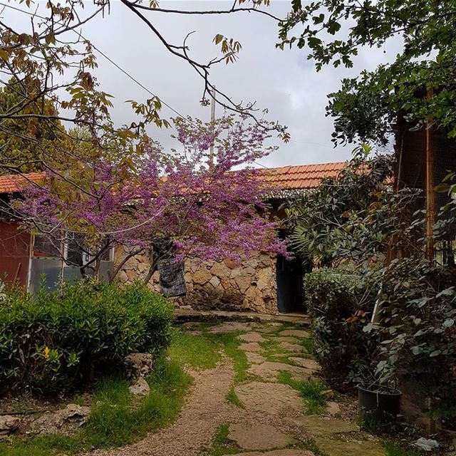 اني خيرتك فاختاري....  ig_lebanon  insta_lebanon  insta_jezzine ...