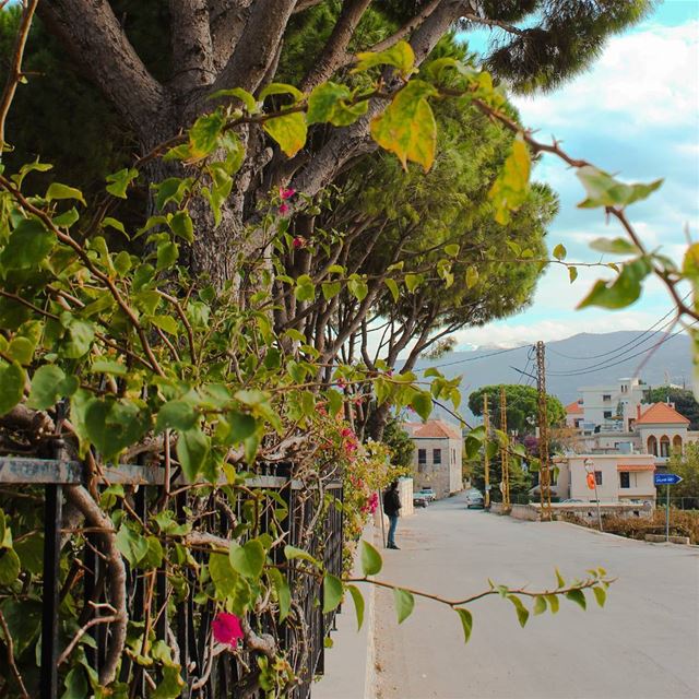 ب👈 بتعبورة النغشة 💖🍃🏡🌷🌳.Btaaboura's springing autumn ❤... ... (Btaaboûrra, Liban-Nord, Lebanon)