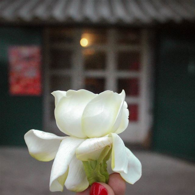 بآخر طريق المسا ❤... lebanon  beino  beinovillage  littlelight  دكان  غ (Beïno, Liban-Nord, Lebanon)