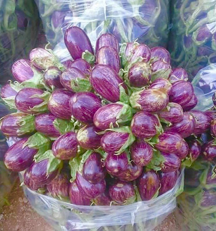  باذنجان lebanesefood  likeflower  purple  colorfulfood  delicious ...