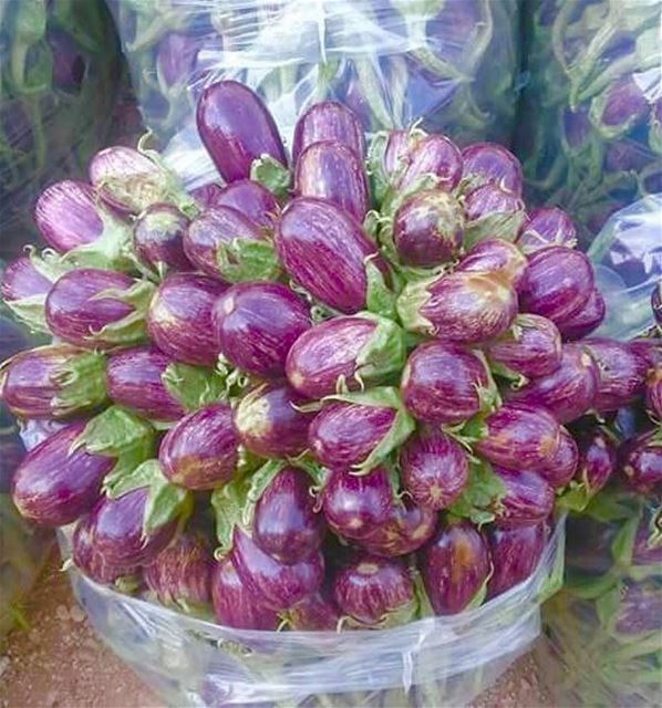  باذنجان lebanesefood  likeflower  purple  colorfulfood  delicious ...