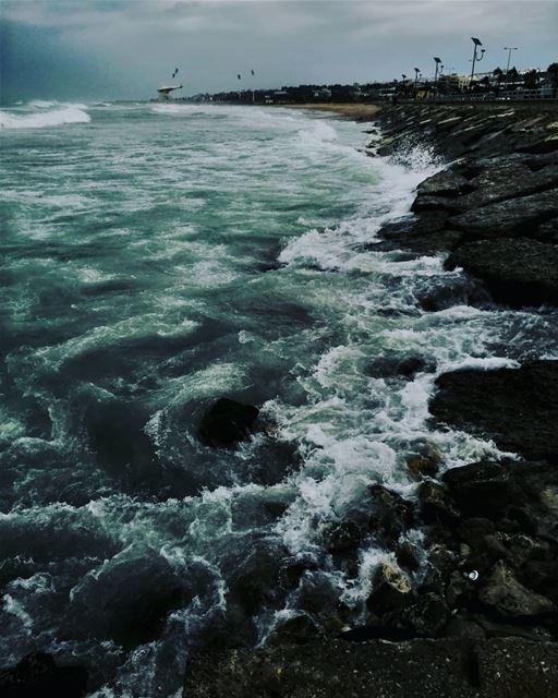 بالصيف او بالشتي ،دايما حلو وبكل حالاتو seaside morningwalk winter waves...