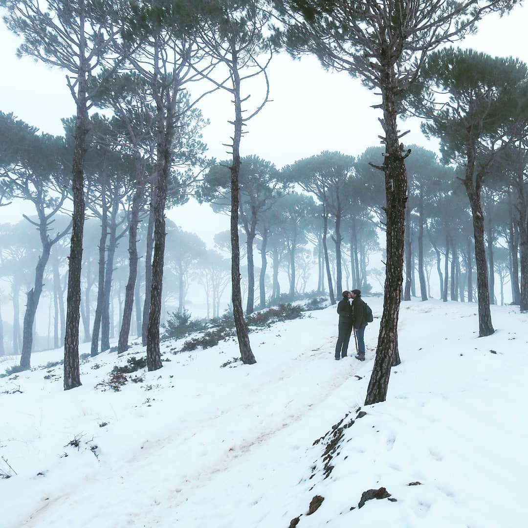 بالصّيف و بالشّتي 🌳👫🌫️❄️ fog  hiking  couple  forest  snow  trees ...