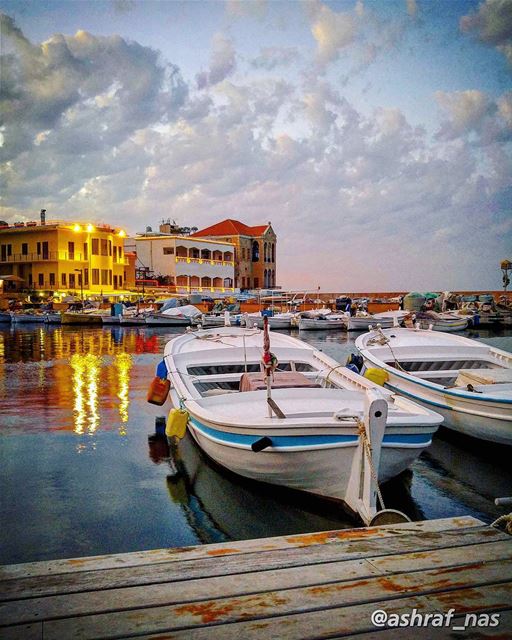 بالقهوة البحريّة وطلّع بإيديكوتشرب من فنجانك وأشرب من عينيك...وتهرب منّي... (Tyre Fishermen Port.)