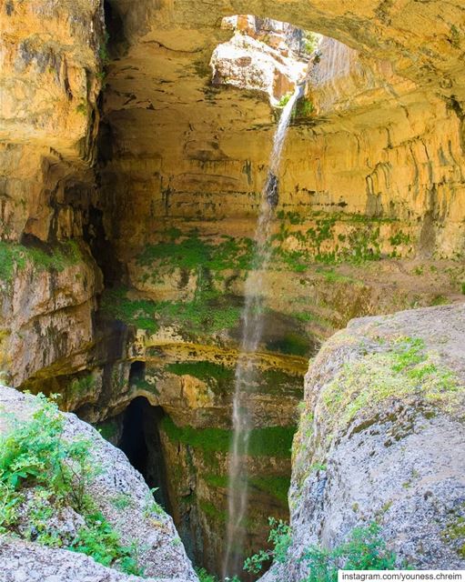 بالوع بلعا ... lebanon  nature  tannourine  balaa  blaou3bal3a  bal3a ...