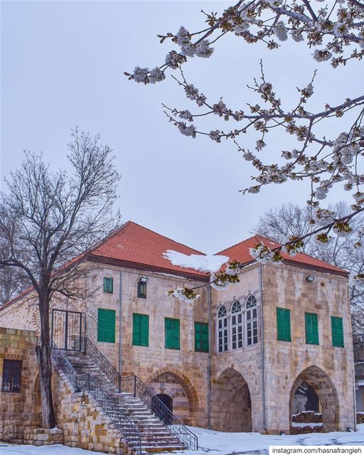 براعم الربيع بتتأمّل الثلوج وبتقلّهاليش بعدك هون وما صرتي للفرح ينابيع؟ب (Ehden, Lebanon)