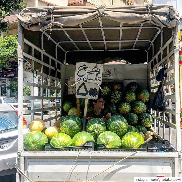 بسلّي و بحلّي و  بطعمي الحمار  انا_ما_خصّني_هيدي_الحزورة _هيك.....حزو (Beirut, Lebanon)