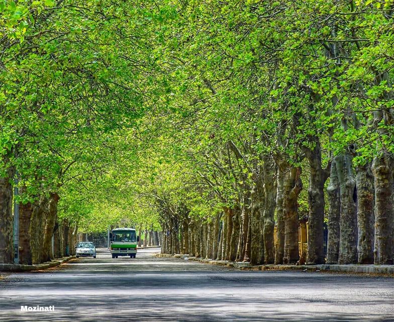 بشتاقلك لا بقدر شوفك و لا بقدر احكيكبندهلك خلف الطرقات و خلف الشبابيكبجرب (Sawfar, Mont-Liban, Lebanon)