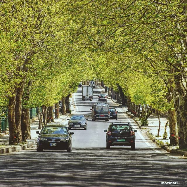 بشتاقلك لا بقدر شوفك و لا بقدر احكيكبندهلك خلف الطرقات و خلف الشبابيكبجرب (Sawfar, Mont-Liban, Lebanon)