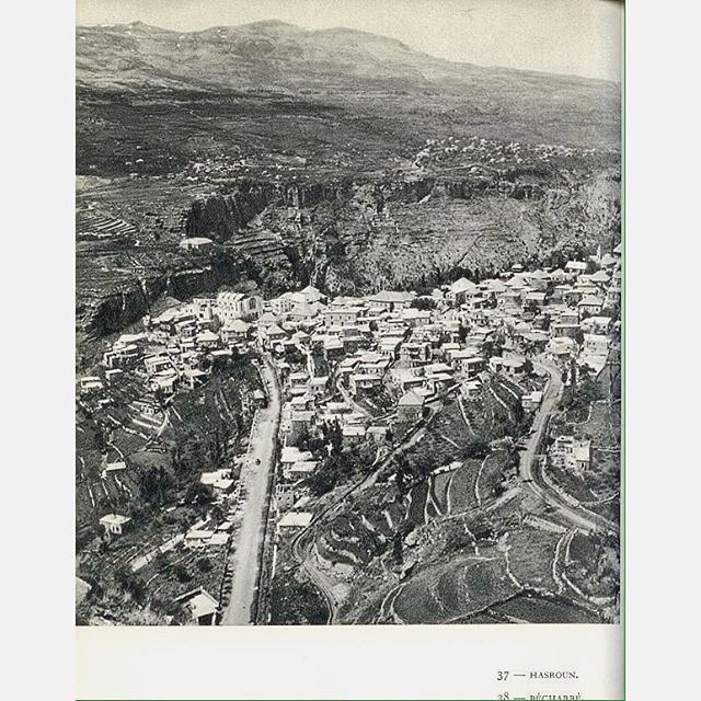 بشري عام ١٩٥٠ ،