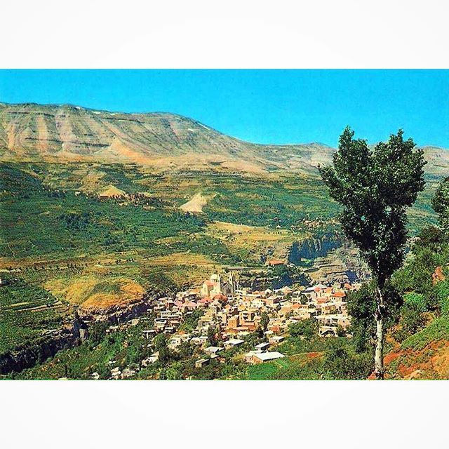 بشري عام ١٩٦٥،