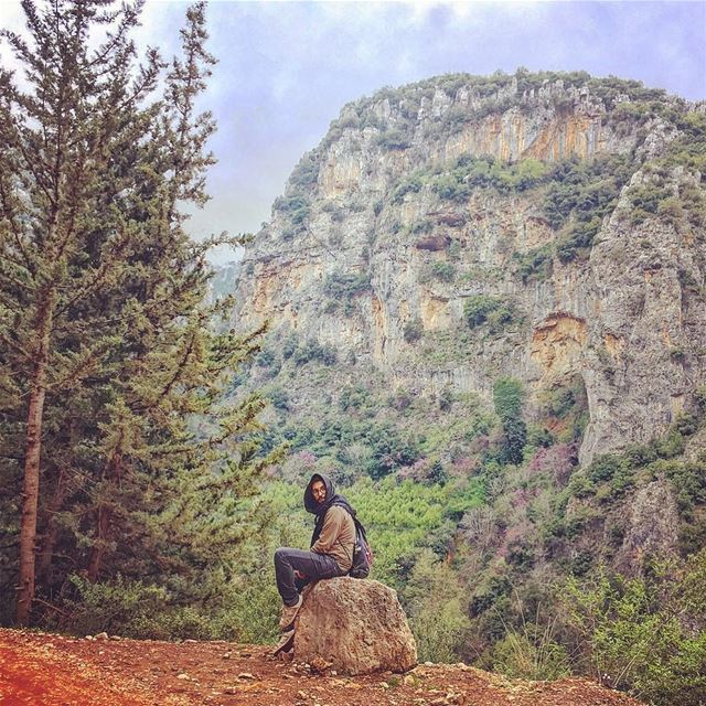 بشرّي... حبّي الأوّل 💚💚💚 bcharre ... (Bcharreh, Liban-Nord, Lebanon)