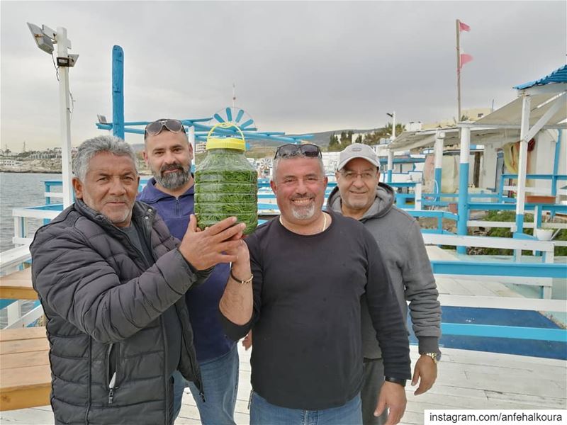 بعد شرح فوائد و طريقة تحضير حشيشة البحر، تم وضعها بقطرميز و ستصبح جاهزة للأ (Lebanon)