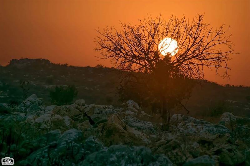 بعد كل مغيب يولد فجر جديد و بعد كل إنكسار يولد أمل جديد sun  sunset ...