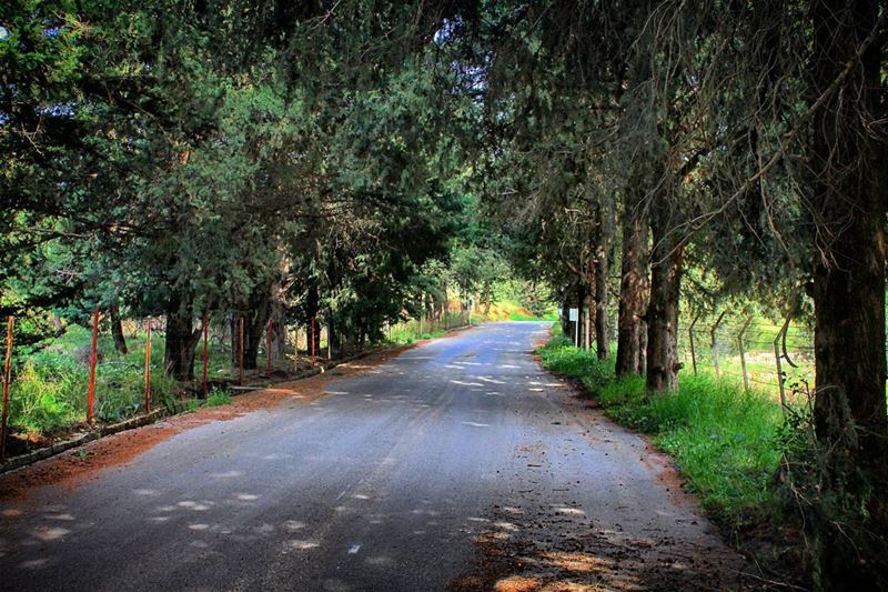 بعرف انا حلو هالدرب و في متلو و بعد احلى... بس البودي لعندك يا حياتي هو الا