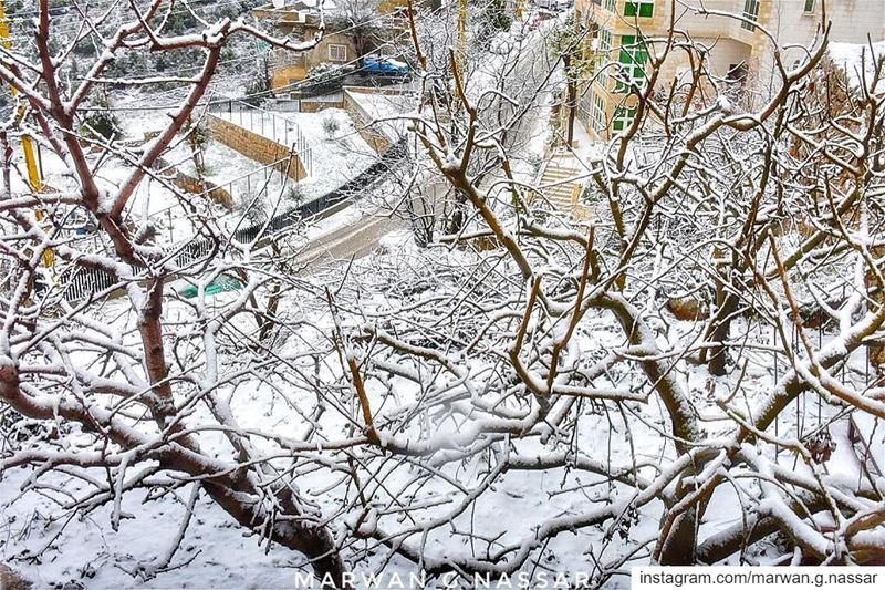 بكرا بيدوب الثلج وبيبان المرج.......📍Al Maten District, Mount Lebanon... (Marjaba, Mont-Liban, Lebanon)