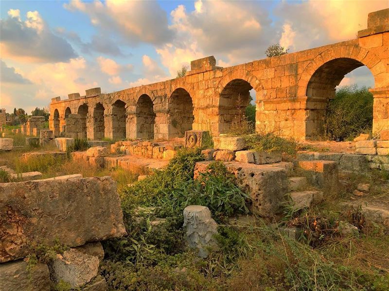 بكرا شي نهار 🌼  tyre  jnoub  livelovehistory  historicalplace ... (Tyre, Lebanon)