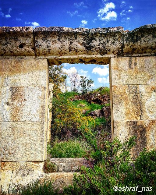 بمجدك احتميت... بترابك الجنّةعَ إسمك غنّيت عَ إسمك رح غنّي...... (Roman ruins in Tyre)