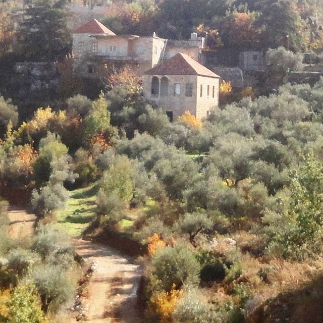 بيتو باخر البيوت ادامو علية  بتوصل عالبيت وبتفوت وبتسلم الهدية (Hardine, Lebanon)